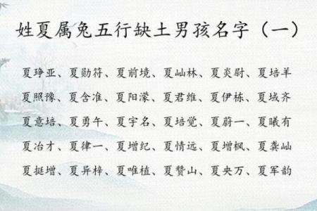 如何给9月份出生的属兔男孩取名字姓名