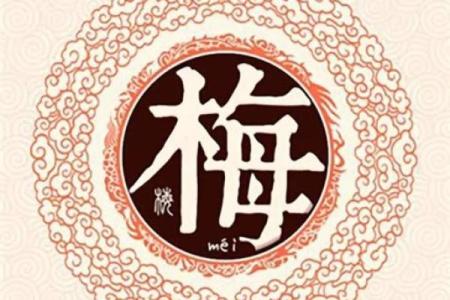 梅姓女孩名字大全-梅姓女孩起名字大全-梅姓名字大全姓名