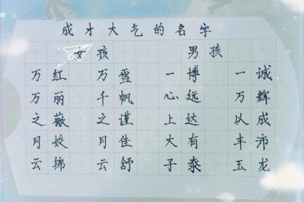 晚上8点出生的属鼠男孩的取名技巧姓名 晚上8点出生的属鼠男孩的取名技巧姓名