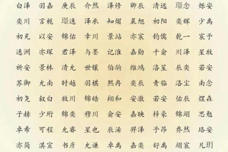 凌晨3点出生的属鼠男孩起什么名字合适姓名