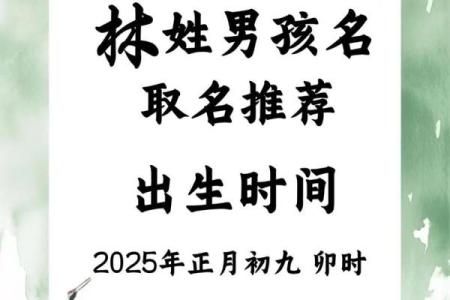 2019年6月3号卯时出生的男孩应该起什么样的名字姓名