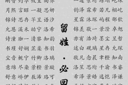 2019年4月2号寅时出生的男孩要怎么起名字姓名