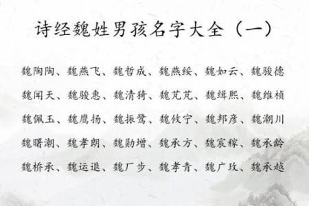 魏姓女孩名字大全-魏姓女孩起名字大全-魏姓名字大全姓名