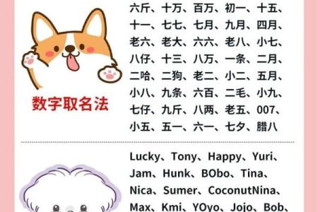 上午11点出生的属狗男孩怎么取名，用什么字好姓名