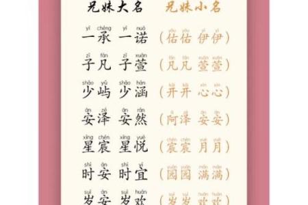 男双胞胎宝宝都有哪些-姓名学-华易网姓名