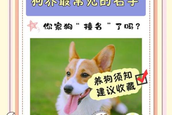 4月份出生的属狗男孩起什么名字好姓名 4月份出生的属狗男孩起什么名字好姓名