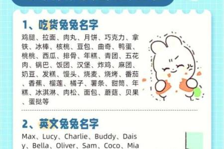 5月份出生的属兔男孩如何取名字姓名