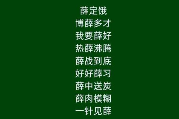 薛姓男孩名字大全-薛姓男孩起名字大全-薛姓名字大全姓名