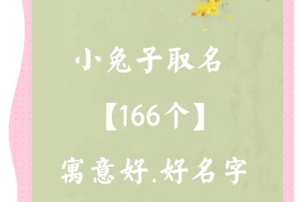 给属兔巳时出生的男孩起名宜用什么字姓名