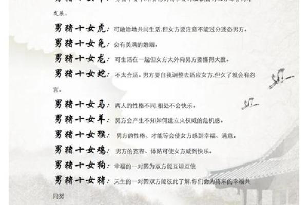 5月份出生的属猪男孩该怎么起名姓名